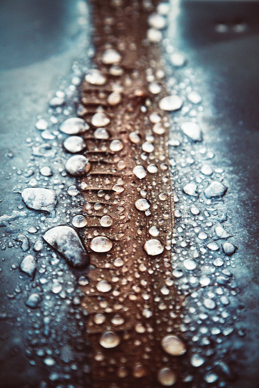 close up photo of water drops